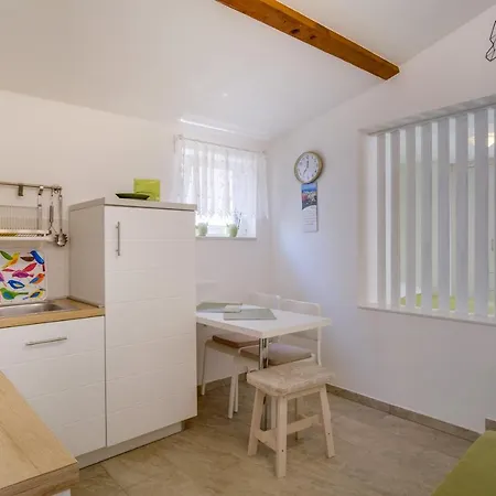 Lotta * 네레자인